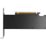 PNY VCNRTXPRO2000-PB, Tarjeta gráfica A granel