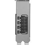 PNY VCNRTXPRO2000-PB, Tarjeta gráfica A granel