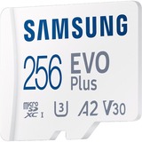 SAMSUNG EVO Plus 256 GB microSDXC (2024), Tarjeta de memoria blanco