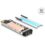 DeLOCK Marco extraíble para 1 x SSD M.2 NVMe para 47028 