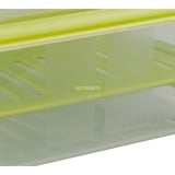 Emsa CLIP & GO XL Táper 1,3 L Verde, Transparente 1 pieza(s), Caja de almuerzo transparente/Verde, Táper, Adulto, Verde, Transparente, Monocromo, Plaza, Alemania
