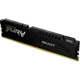 Kingston FURY KF556C36BBE-16, Memoria RAM negro