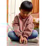 Schleich Wild Life Suricato, Muñecos 