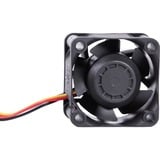 Alphacool 24826 sistema de refrigeración para ordenador Universal Ventilador 4 cm Negro 1 pieza(s) negro, Ventilador, 4 cm, 400 RPM, 15000 RPM, 49,2 dB, 38,39 m³/h