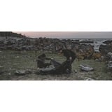 Easy Camp Tienda cúpula Setesdal 4, Tienda de campaña verde oliva