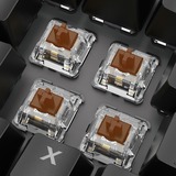 Sharkoon SKILLER SGK20, Teclado para gaming negro