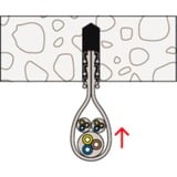 fischer Lazo de cable Steckfix SF plus LS 3/13, Brida gris claro