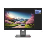 Lenovo ThinkVision P32UD-40, Monitor LED negro