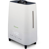 Meaco Deluxe 202 Humidificador/Purificador de aire 