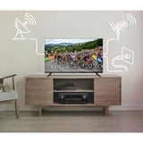 Medion LIFE MD 840003 con reproductor de DVD, Televisor LED negro