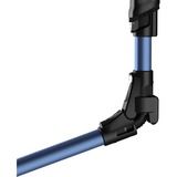 Rowenta RH99C0, Aspirador vertical negro/Azul