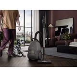 AEG ANIMAL 8000 AB81A2DG, Aspiradora de suelo gris