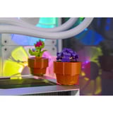 ALTERNATE ALT-ICUECS-INT-005, Gaming-PC blanco/Transparente