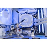ALTERNATE ALT-ICUECS-INT-005, Gaming-PC blanco/Transparente