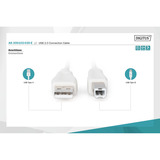 Digitus Cable de conexión USB 2.0 USB-A (conector) > USB-B (conector) beige