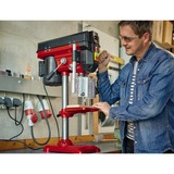 EINHELL TE-BD 550 E, Taladro rojo/Negro