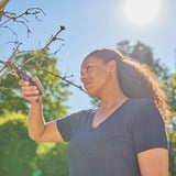 GARDENA Tijeras de jardín PremiumCut - Madera seca, Tijeras de podar gris/Turquesa