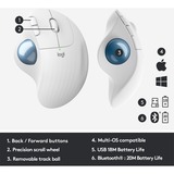 Logitech 910-006438 ratón Oficina mano derecha Bluetooth Trackball 2000 DPI gris claro/Azul, mano derecha, Trackball, Bluetooth, 2000 DPI, Blanco