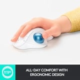 Logitech ERGO M575 for Business ratón mano derecha RF Wireless + Bluetooth Trackball 2000 DPI gris claro/Azul, mano derecha, Trackball, RF Wireless + Bluetooth, 2000 DPI, Blanco