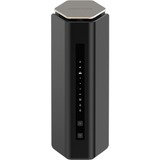 Netgear RS600-100EUS, Router 