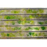 Ryobi Limpiador de superficies a batería 18Volt, Detergentes para suelos duros verde/Negro