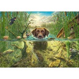 Schmidt Spiele Mark Fredrickson: Amor por los perros - labrador marrón en agua fresca, Puzzle 