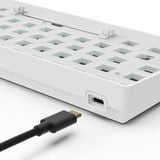 Sharkoon 4044951041862, Teclado para gaming blanco