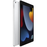 Apple iPad, Tablet PC plateado