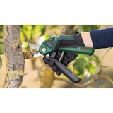 Bosch EasyPrune, 06008B2102, Tijeras de podar verde/Negro