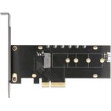 DeLOCK 89013 tarjeta y adaptador de interfaz Interno M.2, Tarjeta de interfaz PCIe, M.2, Perfil bajo, PCIe 4.0