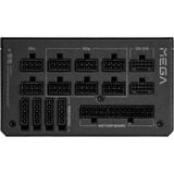 Fortron PPA16F0202, Fuente de alimentación de PC negro