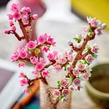 LEGO Flores de Cerezo, Juegos de construcción Juego de construcción, 8 año(s), Plástico, 430 pieza(s), 178 g