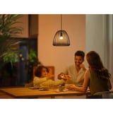 Philips Hue 929003573701, Lámpara LED 