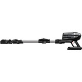 Rowenta X-Force Flex 14.60 Animal RH9958, Aspirador vertical negro/Plateado