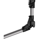 Rowenta X-Force Flex 14.60 Animal RH9958, Aspirador vertical negro/Plateado