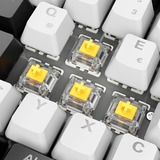 Sharkoon SKILLER SGK50 S2, Teclado para gaming blanco