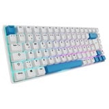 Sharkoon SKILLER SGK50 S3 PBT, Teclado para gaming blanco/Celeste