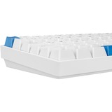 Sharkoon SKILLER SGK50 S3 PBT, Teclado para gaming blanco/Celeste