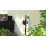 eve 10ECC8101, Control del riego negro/Plateado