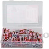 fischer Profi-Box DuoPower, Pasador gris claro/Rojo