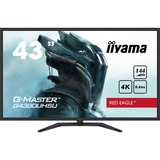iiyama Monitor de gaming negro
