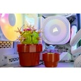 ALTERNATE ALT-ICUECS-INT-002, Gaming-PC blanco/Transparente