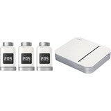 Bosch Conjunto