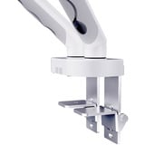 Digitus Soporte de monitor de diseño dual, 2x 35", 2x 10 kg blanco