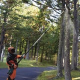 Makita Podadora telescópica inalámbrica UA004GZ XGT, 40 Voltios azul/Negro