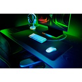 Razer Viper V2 Pro ratón mano derecha RF Wireless + USB Type-C Óptico 30000 DPI, Ratones para gaming blanco, mano derecha, Óptico, RF Wireless + USB Type-C, 30000 DPI, Blanco