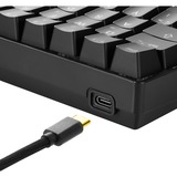 Sharkoon SGK50 S4 teclado USB QWERTY Español Negro, Teclado para gaming negro, 60%, USB, QWERTY, LED RGB, Negro