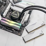ADATA LANCER DDR5 módulo de memoria 64 GB 2 x 32 GB ECC, Memoria RAM blanco, 64 GB, 2 x 32 GB, DDR5, 6000 MHz