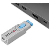 Lindy Llave para puerto DisplayPort con 4 cerraduras, Castillo 