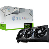 MSI V531-009R, Tarjeta gráfica 